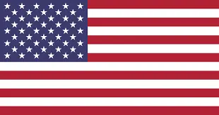 american flag-Charleston