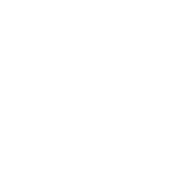ce logo Charleston