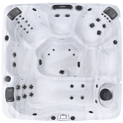 Avalon-X EC-840LX hot tubs for sale in Charleston