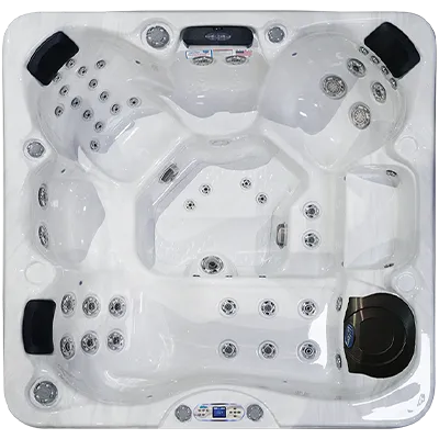 Avalon EC-849L hot tubs for sale in Charleston
