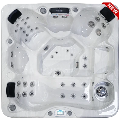 Avalon-X EC-849LX hot tubs for sale in Charleston