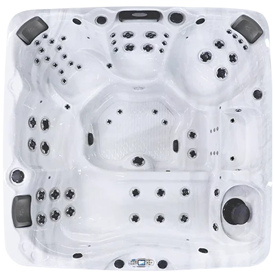 Avalon EC-867L hot tubs for sale in Charleston