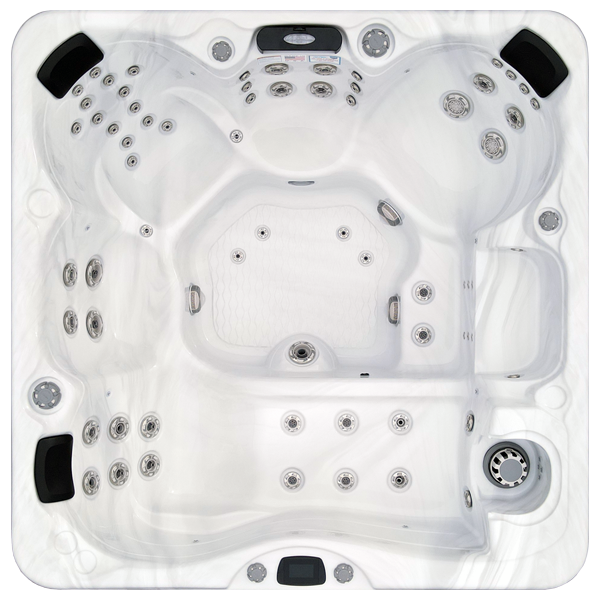 Avalon-X EC-867LX hot tubs for sale in Charleston